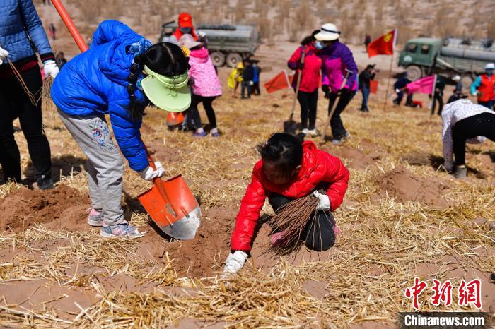 甘肃民勤：二百余人春季沙漠种梭梭等防沙治沙